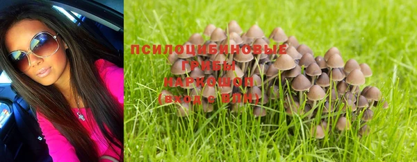 мяу мяу мука Куйбышев
