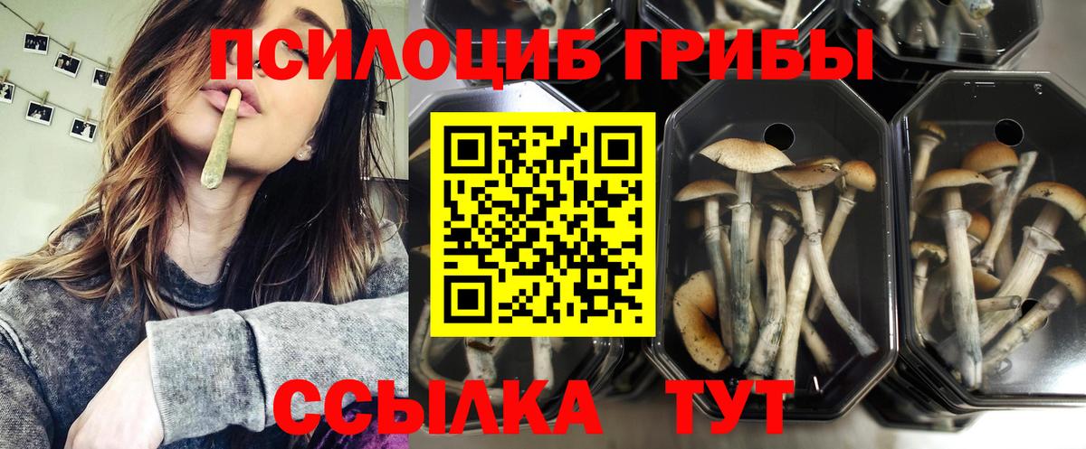 Галлюциногенные грибы MAGIC MUSHROOMS Добрянка