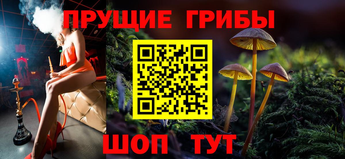 Добрянка  Галлюциногенные грибы прущие грибы  Вход с VPN 