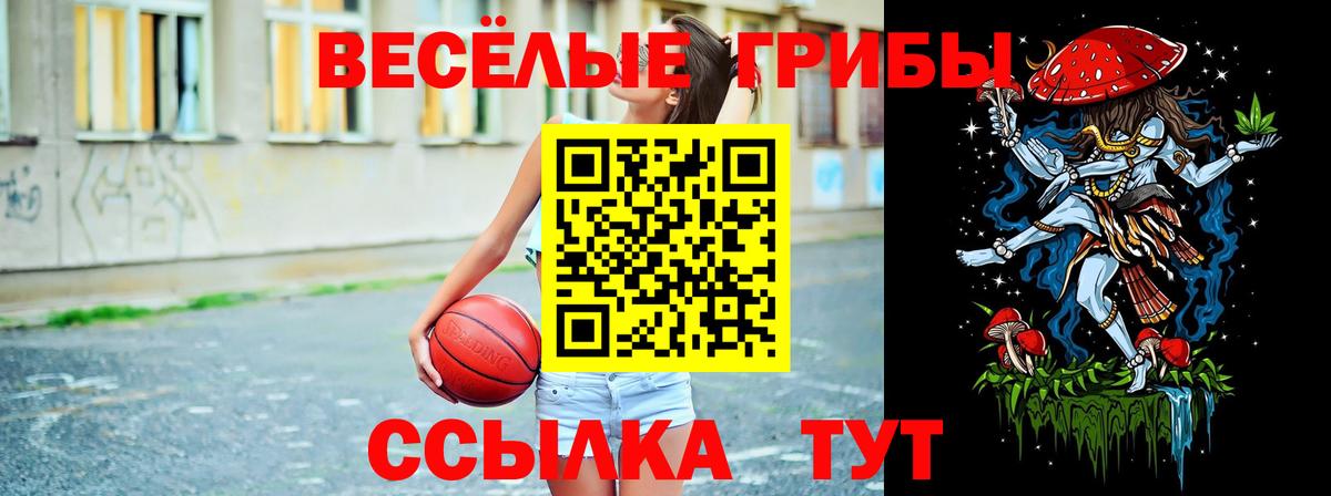 Галлюциногенные грибы прущие грибы  Добрянка 